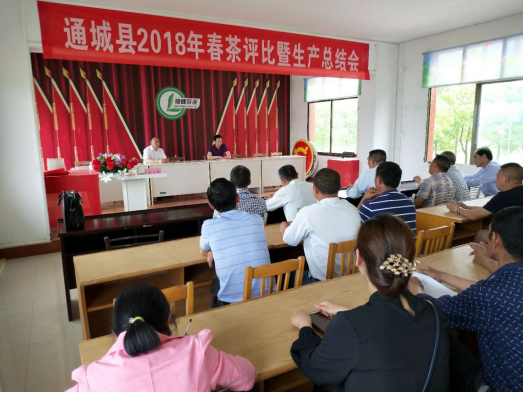 咸宁市茶叶学会专家赴通城县开展2018年春茶评比暨生产指导工作101.png