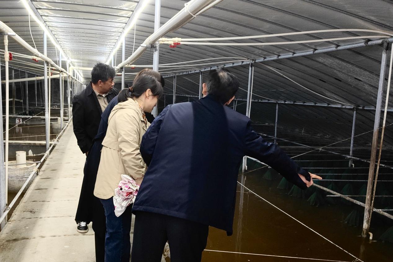 1711677151020064423.jpg 科协投稿)武汉市农科院专家团队到应城市专家工作站开展技术指导.jpg