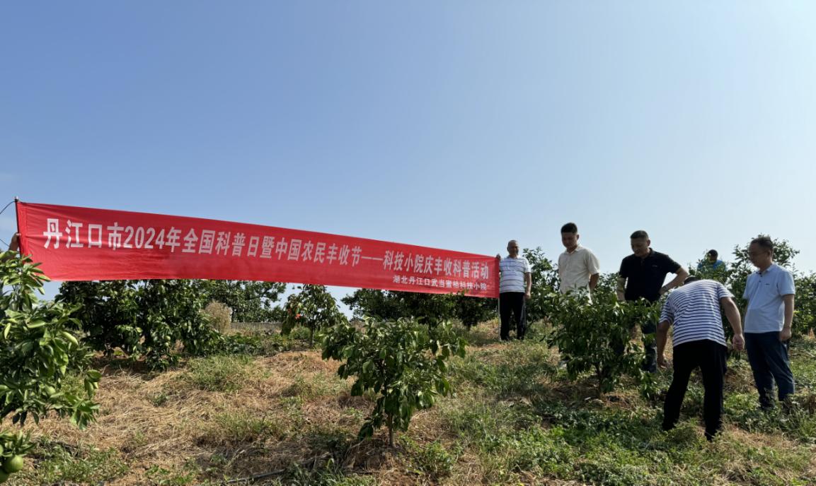 1727148643987032819.jpg 图片1.jpg