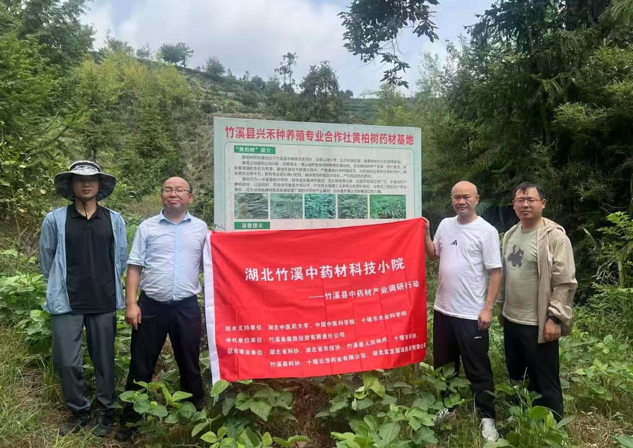 1755071228347013740.jpg 图片3.jpg